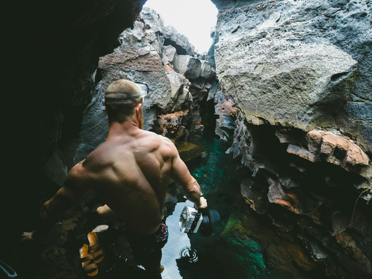 The Myth of the Alpha Male: Between Nature and Caricature