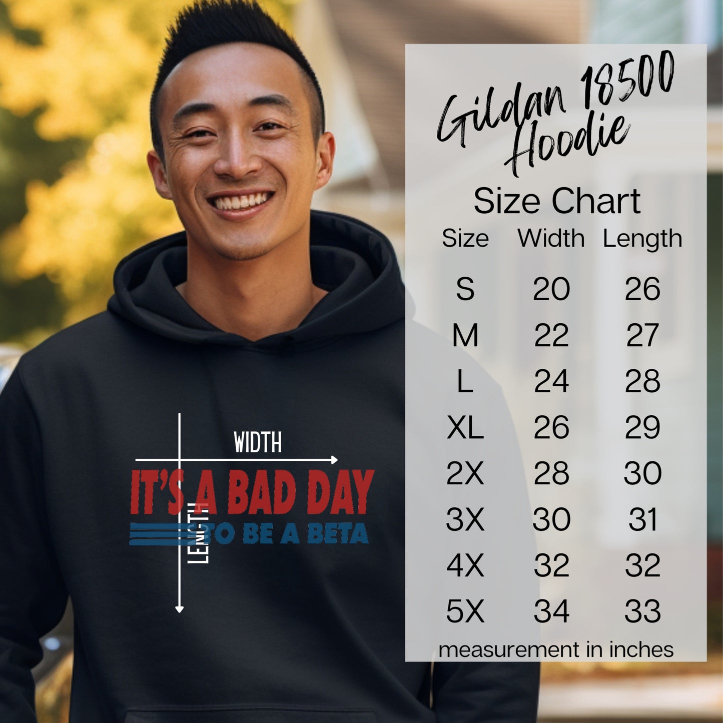 It's a Bad Day to Be a Beta Hoodie