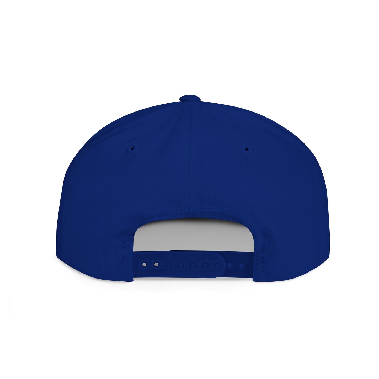 Bullshit Intolerant – Funny Sarcastic Streetwear Snapback