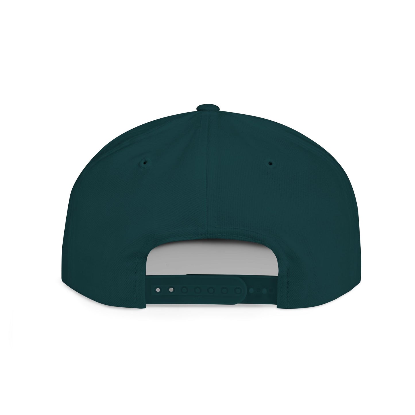Bullshit Intolerant – Funny Sarcastic Streetwear Snapback
