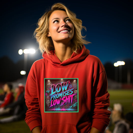 Low Promises Low Shit Graphic Hoodie product