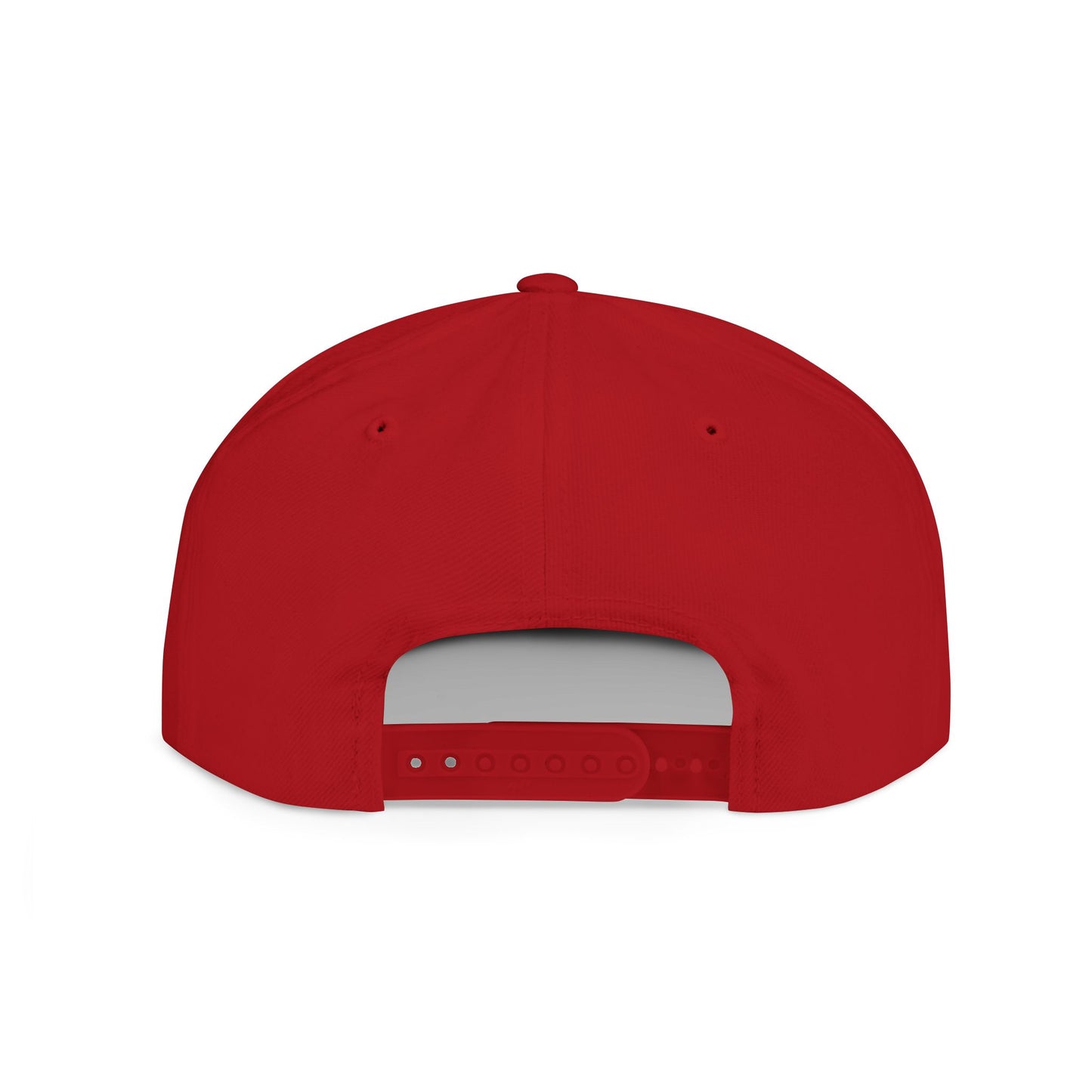 Bullshit Intolerant – Funny Sarcastic Streetwear Snapback