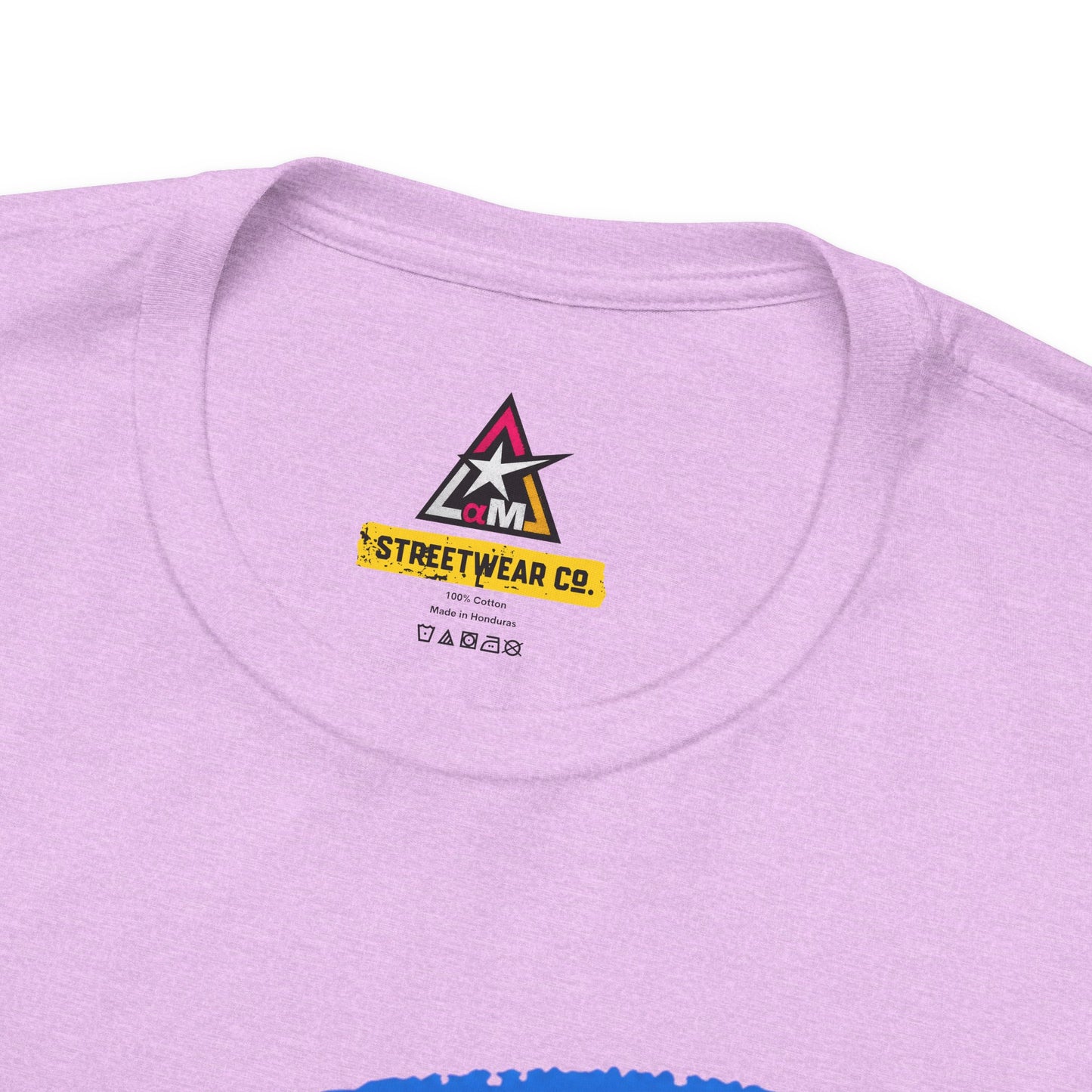 ALPHA INSIDE | Motivational Graphic Tee | Alpha Mindset Streetwear