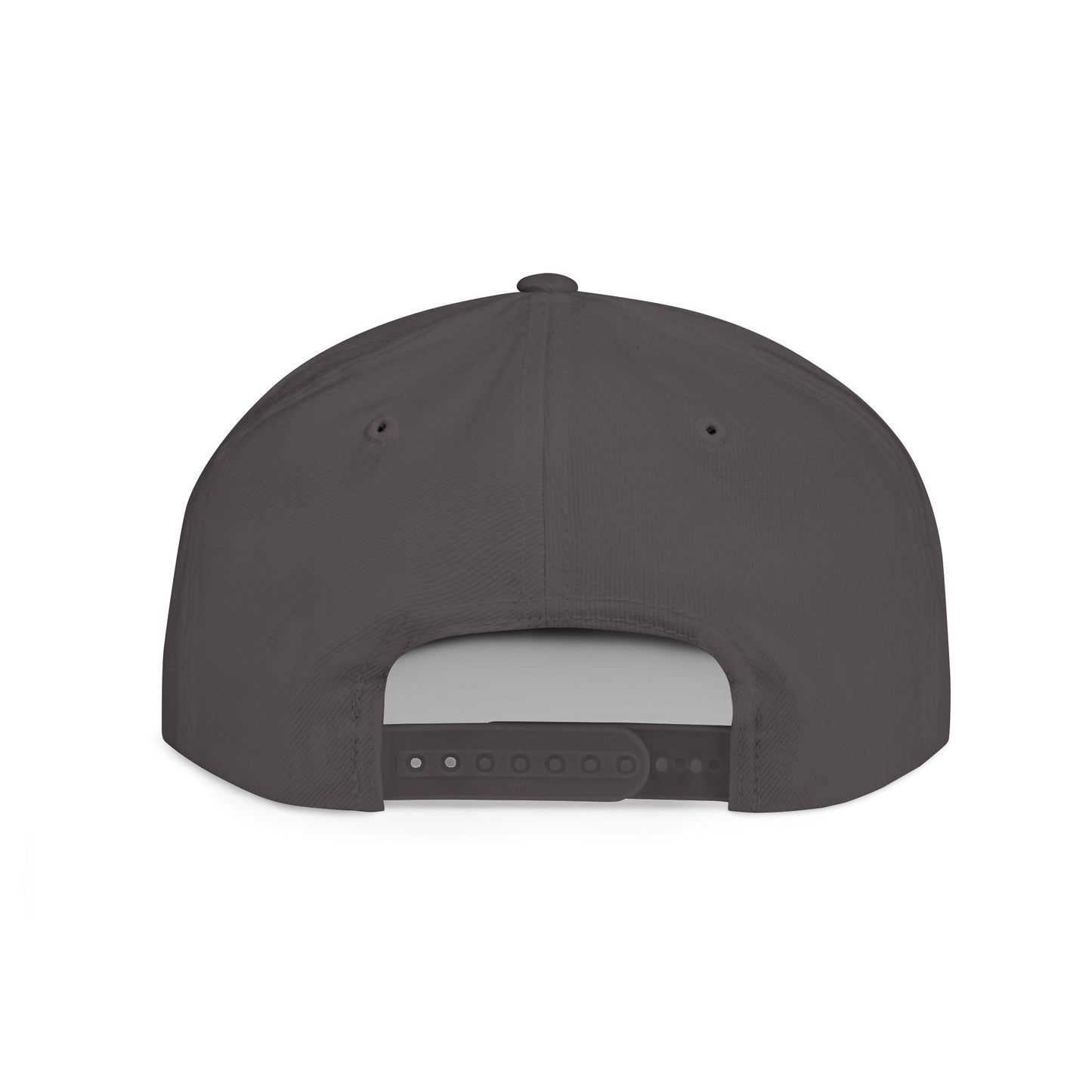 Bullshit Intolerant – Funny Sarcastic Streetwear Snapback