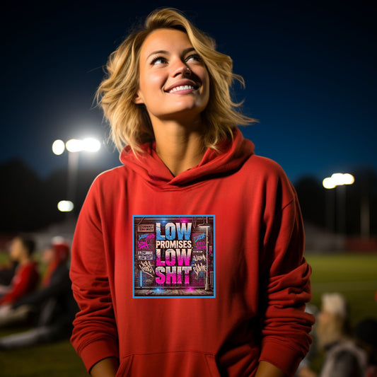 Low Promises Low Shit Graphic Hoodie product